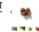 個人事業主様向けのウェブサイトを作成致します 取り敢えず、のとっかかりのHPを作りましょう イメージ2
