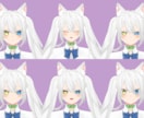かわいい＆かっこいい3Dモデル作ります イラストを再現するのも得意です！VtuberさんやMMDに！ イメージ4