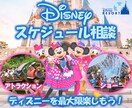 ディズニーのスケジュール相談承ります 完全オーダーメイドのディズニープランを作成！ イメージ1
