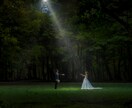 挙式披露宴撮影データ　補正・セレクト代行します あなたの画像処理の時間を有効活用しませんか？ イメージ4