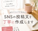 SNSの投稿文を丁寧に作成します あなたらしさが伝わる自然な投稿文を一緒に考えます イメージ1