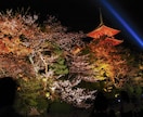 超高画質★京都の写真（動画付き）撮ります 超高画質な写真を無料で動画もつけて3000円～撮影します。 イメージ5