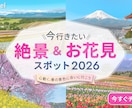 お店のファンを増やす！POPやSNS画像作ります 初心者大歓迎！自分で編集できるCanvaテンプレートも対応 イメージ8