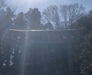 悩み相談、恋愛、性に対して話聞きます 貴方の明日が少しでも楽になるようにお手伝いさせてください。 イメージ4
