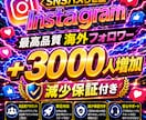 Instagram海外フォロワー増やします 【最安値を維持】圧倒的な安さ×最高品質×最速対応‼ イメージ1