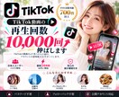 TikTok再生回数を＋10,000回伸ばします 【30日間保証付】TikTokの投稿再生回数を伸ばして拡散！ イメージ1