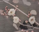 安心＆信頼が売り♫ご希望に沿った動画制作します ウェディング用、プロフ動画、旅行紀、YouTube等 イメージ5