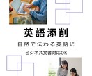 英語の文章を自然に添削します ビジネスでも使える自然な英語に仕上げます イメージ1