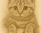 あなたの大切な猫ちゃんをイラストにします サンプルのように繊細なタッチでお描きします。商用利用◎ イメージ9
