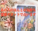 あの人の気持ちを霊感タロットで占います 彼の本音や思いが知りたい！を叶えます！ イメージ1