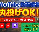 ゲーム配信切り抜き編集ゲームプレイの動画編集します ショート動画や普通の動画なども対応します。 イメージ1