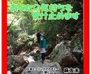 恋愛/悩み/雑談/子育て♪何でも優しく受け止めます 心の解放のお手伝いさせていただきます♬お試し１分から★ イメージ1