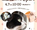 Instagram投稿画像を作成します 伝わるデザインを丁寧に制作します! イメージ1