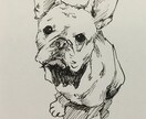 ペットの絵を描きます 玄関やトイレ、ちょっとした贈り物に。ペットの画像を描きます。 イメージ1