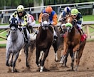 競馬予想!お好きな重賞のデータを作成します 最短即日、スピードお渡し!土日重賞のおともにぜひ! イメージ1