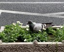 1日お悩み相談受付してます どんな些細な事でもご相談ください。 イメージ1