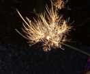 男子高校生が3日ほど話し相手になります 恋バナや愚痴までなんでも聞きます！ イメージ1