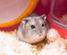 優しくお話聞きます!!否定しませんます どんな話も安心して話せる場所です☆ イメージ2