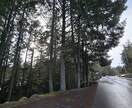 カナダワーキングホリデー/ 移住の相談に乗ります カナダワーホリ中の私がリアルを教えます！ イメージ5