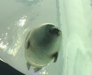 日頃の愚痴、身近な人に話せない事、何でも聞きます とにかく話しを聞いてほしい！そんな方どうぞ♩ イメージ1