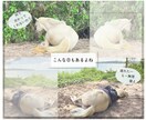 安心して話せる場所、ここにあります 「ありのままの自分」を受容するのに悩み続けた50代が聞きます イメージ2