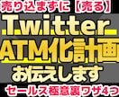 Twitter集客✕売らずに売るセールス教えます 【SNSから商品販売】売らずに売り込むセールスの極意です イメージ1