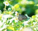 徹底的にあの人との相性を占います 相性は全てではないけれど、相性がわかると楽になる イメージ1