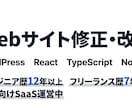 WordPress・React・LPの修正をします WordPress・React のサイト修正・カスタマイズ イメージ1