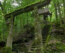 隠されている彼の気持ちを深層心理解読術で見抜きます 月光霊視で彼の本音を知りあなたの運命を望む未来へ導きます イメージ7