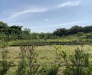 田舎暮らしの相談に乗ります 移住したいけど勇気が出ないなど。実際どない？なんでも。 イメージ3
