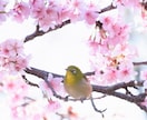 誰にも相談できないLGBTの悩みごとお聴きします 同性愛の辛いことや苦しいこと…遠慮なく全部はき出してください イメージ7