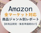 Amazon商品ジャンルレポート提供します 全マーケット対応！新商品開発・集客開始前準備期のお供に イメージ1