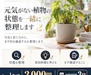 元気がない植物の状態を一緒に整理します 写真と育て方から、まず何を確認するか整理します イメージ1
