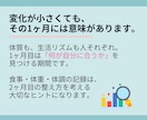 リピーター限定!管理栄養士が30日間サポートします ✦やせてキレイに、食事がもっと楽しくなる習慣をあなたに✦ イメージ2