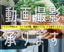 PR動画イベント撮影に！高品質な動画撮影いたします お店のPR動画、イベントのダイジェストなど編集まで承ります！ イメージ1