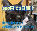 ワンコイン最大3日間、お悩み、相談、グチを聞きます 秘密厳守します！ちょっと誰かと話をしたい時に相手になります！ イメージ2
