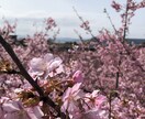 子宮内膜症に悩むご夫婦の方、相談受け付けます 内膜症の妻に寄り添う夫のアドバイス イメージ1