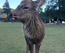 認知症が心配になったときのアドバイスをします 心配なことをまずは話してみてください。 イメージ1