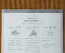 オシャレで可愛いフライヤーを作ります 手書き文字のあるシンプルでカワイイフライヤー イメージ6