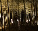 皆様が普段から持たれてる愚痴や悩み不安等を聴きます たくさん愚痴ってスッキリしませんか？ イメージ2