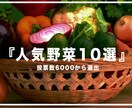 格安!! Youtube向け動画編集承ります めんどくさい動画編集は外注しましょう イメージ1