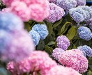 恋愛成就の伴走 その恋が叶わない理由を霊視します 恋が叶わない理由の先にある、あなたを幸せにする真実の鑑定 イメージ9