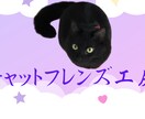 バナーやヘッダーの作成いたします あなたのイメージをお聞かせください！ イメージ1