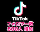 TikTok フォロワーを800人増やします SNSの宣伝・拡散はおまかせください！ イメージ1