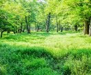うつ、引きこもりの相談します リラックスして生きる、人生頑張るな。 イメージ1