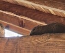 自然の風景と、たまに動物が紛れます 自然の癒し、掛け替えのない風景大地の雄大感。出会う動物たち イメージ4