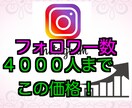 Instagramフォロワー増やします 即日対応可！各種SNS対応！保証あり！お気軽にどうぞ！ イメージ1