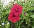 お話聞きます 誰かにただ話を聞いてほしい方(*^^*)お気軽にどうぞ イメージ2