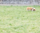 初期費用無し❗スマホで簡単❗在宅OKな副業教えます リピート収入❗副業迷子からの脱却㊗️おすすめ㊙ノウハウを伝授 イメージ10