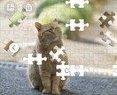 ジグソーパズルお安く作成お手伝いします 趣味の延長で多少納期はいただきますが、お安く作成します。 イメージ3